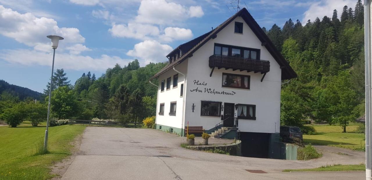 Am Wehrastrand Einzelappartment Todtmoos Exteriér fotografie